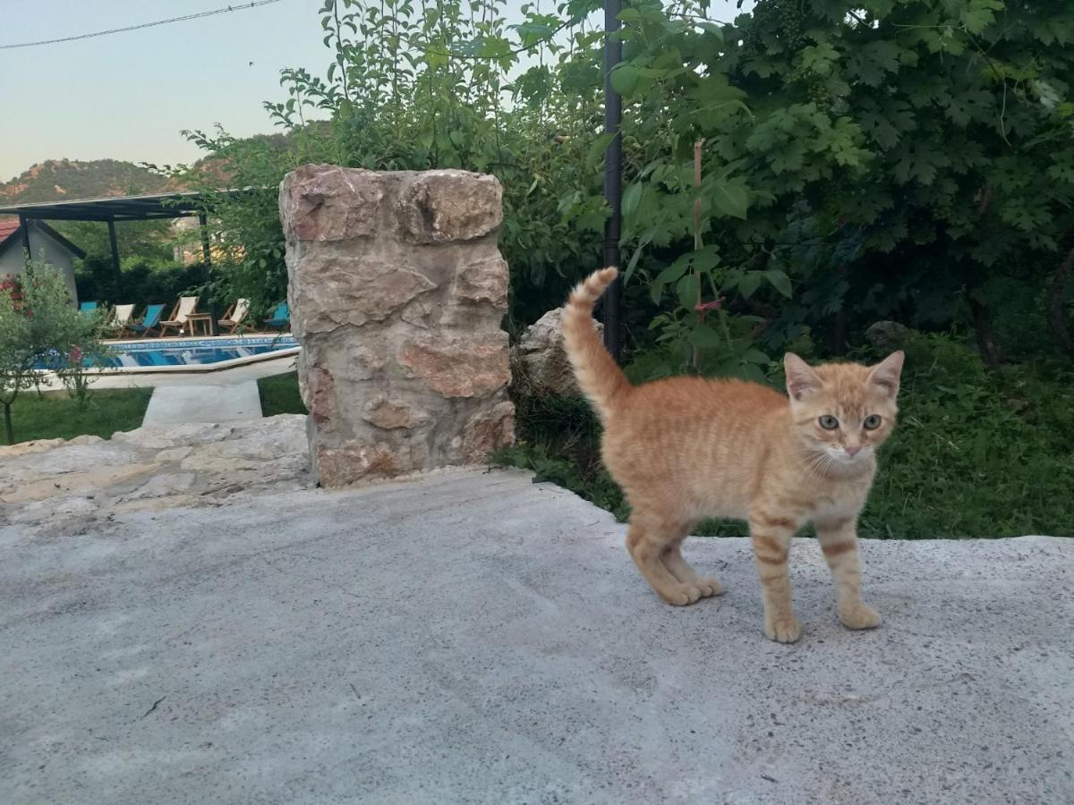 Rustic Village Rijeka Crnojevića Eksteriør bilde