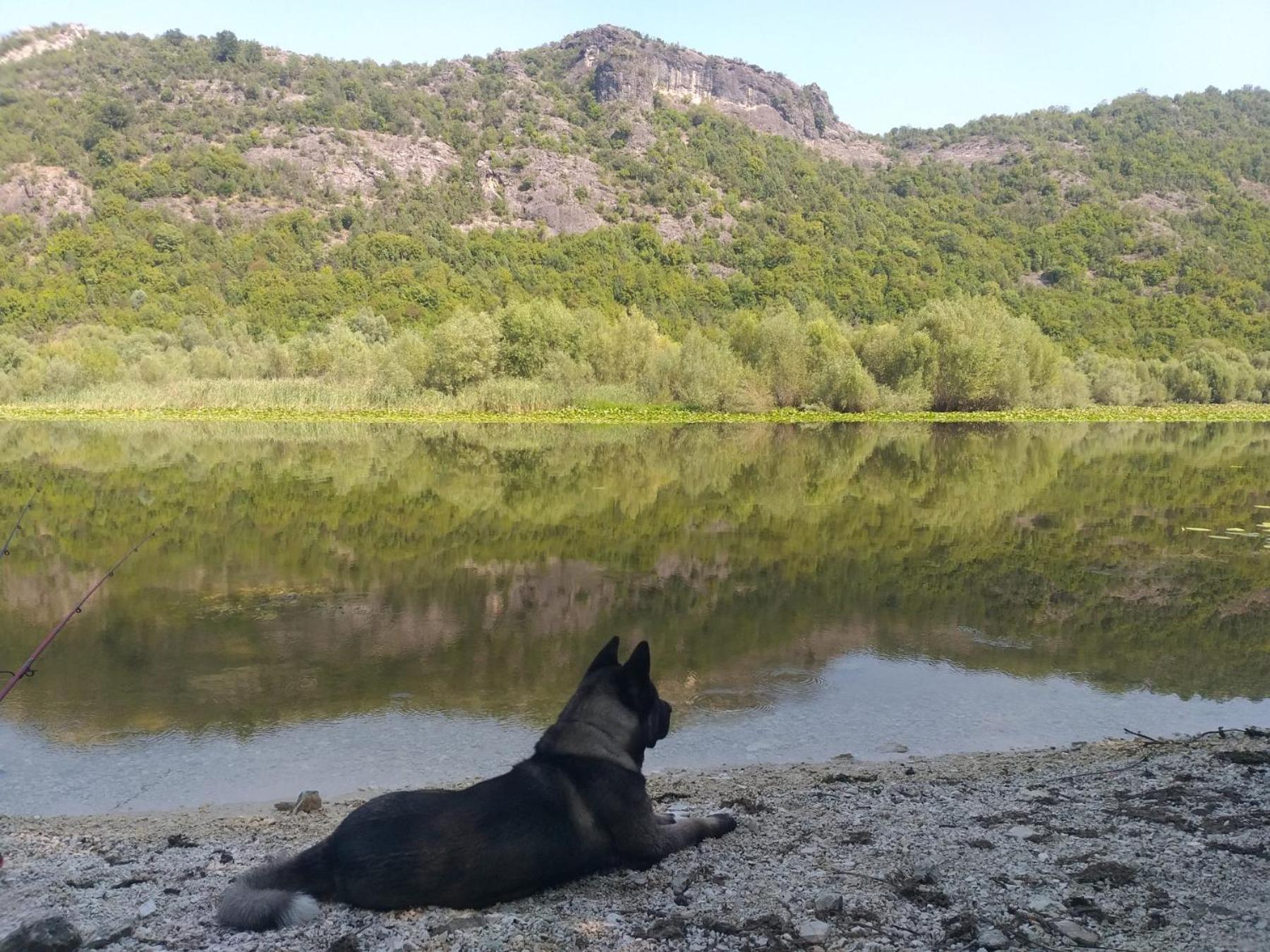 Rustic Village Rijeka Crnojevića Eksteriør bilde