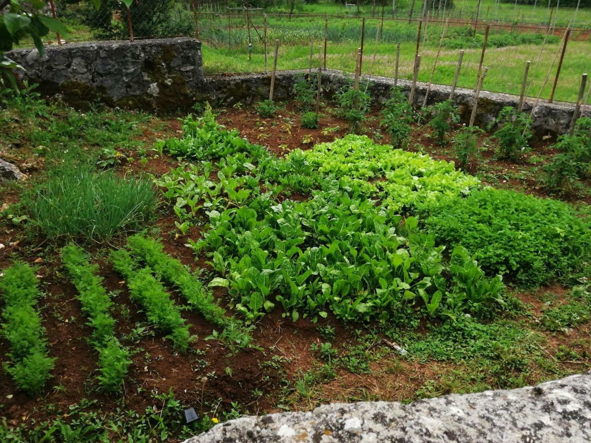 Rustic Village Rijeka Crnojevića Eksteriør bilde